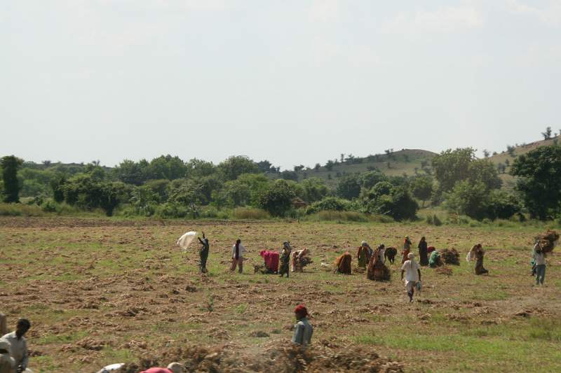 India & Nepal 2011 - 0972